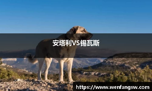 安塔利VS锡瓦斯